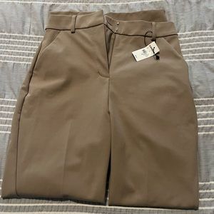 Express dress pant